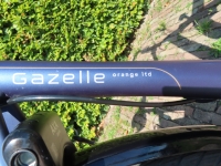 Gazelle Orange Limited Edition - 2021 - D53 - 400wh - 4750 km