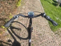 Sparta B7E D53 7v  Bosch motor