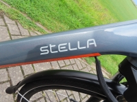 Stella Livorno - 8v - Heren maat 61