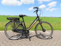 Stella Vicenza 8V D51