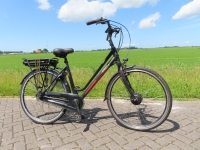 Stella Vicenza 8V D51