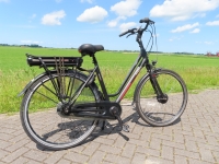 Stella Vicenza 8V D51