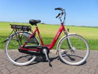 Azor Red D53