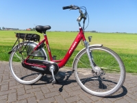 Azor Red D53