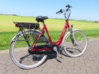 Azor Red D53
