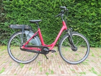 Pointer Edenta E-Line  D51