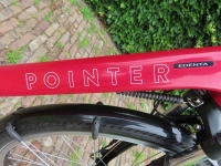 Pointer Edenta E-Line  D51