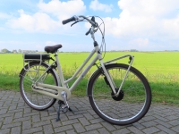 Gazelle Miss Grace D54 7V