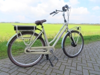 Gazelle Miss Grace D54 7V