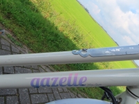 Gazelle Miss Grace D54 7V