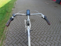 Gazelle Miss Grace D54 7V
