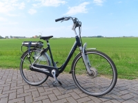 Sparta C5 D53  8V