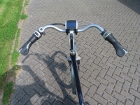 Sparta C5 D53  8V