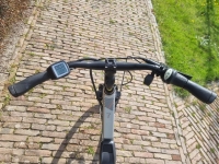 Kreidler Trekking 7V D 50